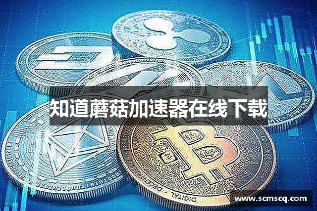 蘑菇加速器【官网入口】｜蘑菇加速器